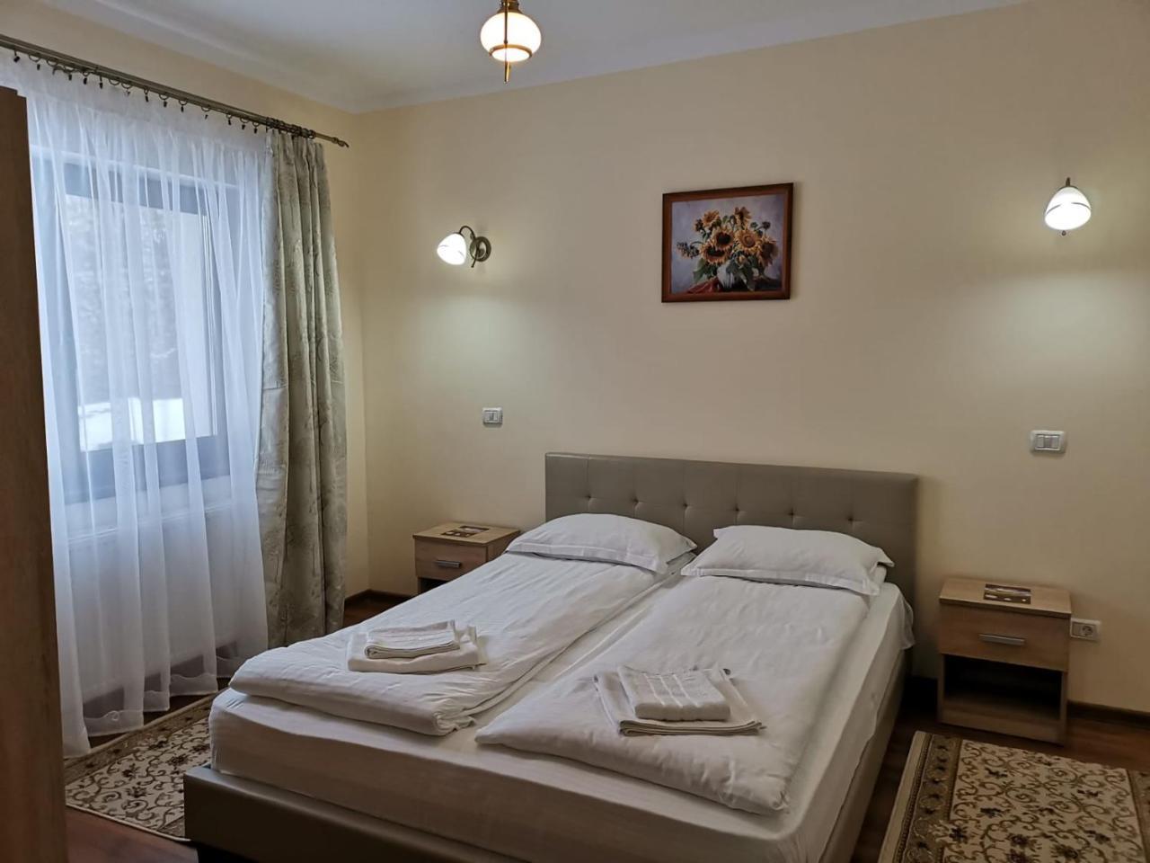 Fantanita Craiesei Hotel Fagaras Luaran gambar